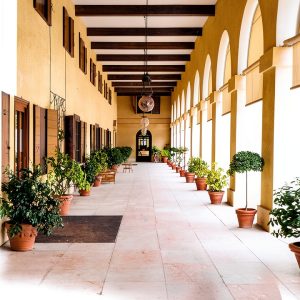 Scribner Architecture eBook English Language Digital-0