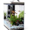Automatic Fish Feeder Rust Free Design Secure Seaweed-6
