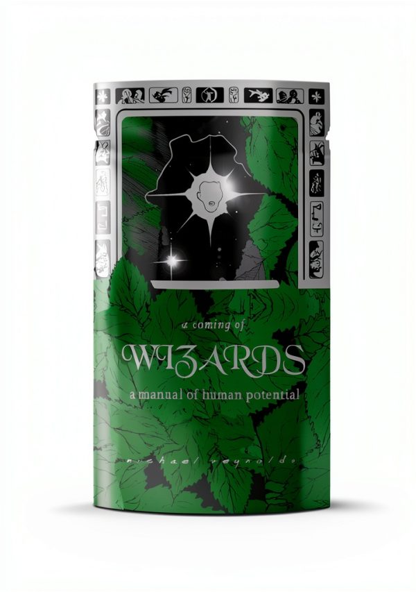 Solar Survival Press eBook Sustainable Design Architecture-0