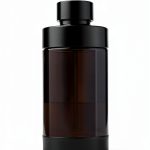 Princeton Architectural Press Architecture eBook English-0