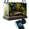 Automatic Fish Feeder Rust Free Design Secure Seaweed-1
